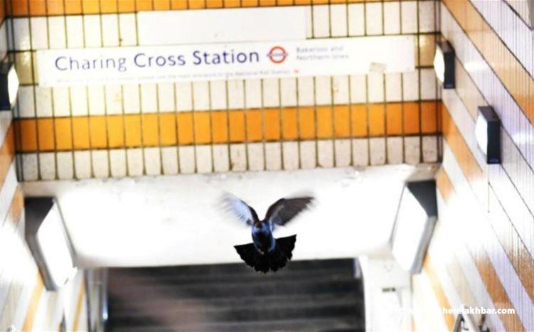 اعتقال رجل أدعى أنه يحمل قنبلة في محطة للقطارت ب لندن