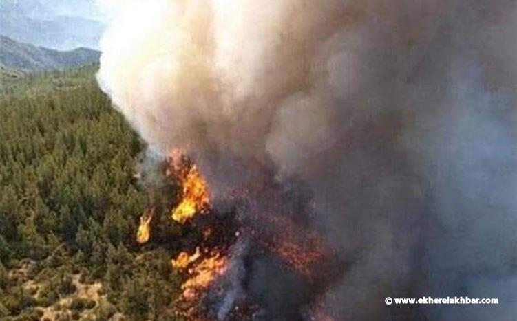 رئيس مركز الدفاع المدني في زغرتا : حريق أحراج زغرتغرين مفتعل !