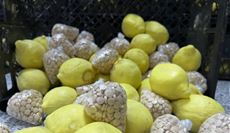  ملايين الحبوب...