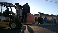 Unloading giant...