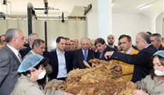 الصفدي افتتح معمل...