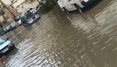  شوارع لبنان تسبح...