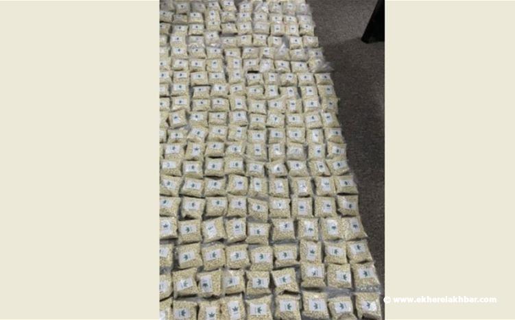 ضبط 120 ألف حبة كبتاغون في قبعيت وتوقيف أحد المتورطين