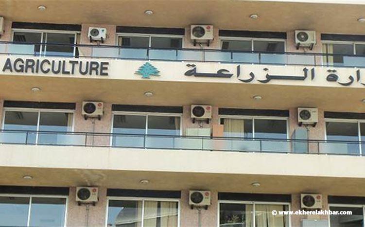 مصادرة كميات من الأسماك المخالفة وتسطير محاضر ضبط في مرفأي الدورة والأوزاعي