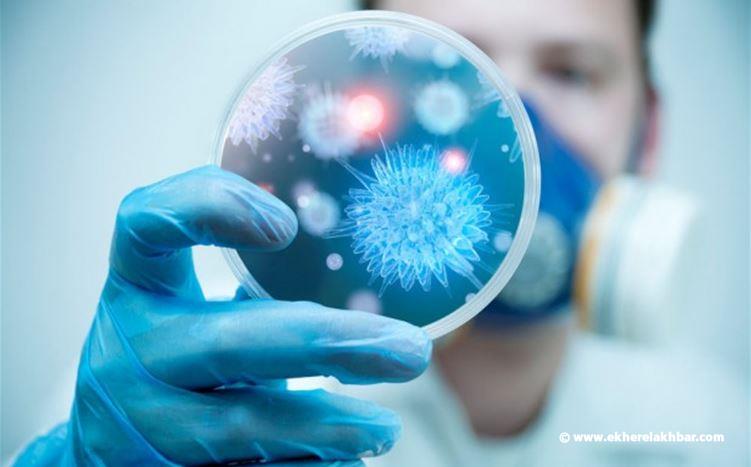 وزارة الصحة: تسجيل 294 إصابة جديدة بفيروس كورونا