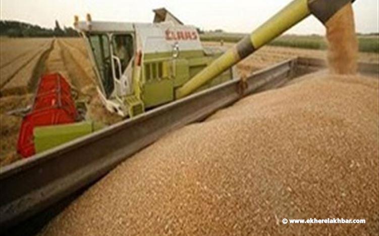 50 ألف طن من القمح من برنامج الأغذية العالمي  إلى بيروت
