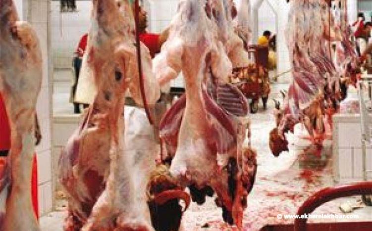 شركة خليفة للمواشي توقفت عن تسليم اللحم المدعوم