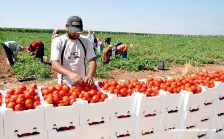 لبنان يقرّر إلغاء رخصة الاستيراد المسبقة للمنتجات الزراعية الأردنية