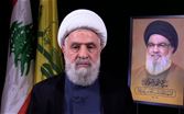 قاسم: لن نسمح لاحد أن ينزع سلاح &quot;حزب الله&quot;