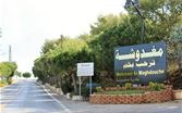 اشكال كبير ليلا في مغدوشة واصابات