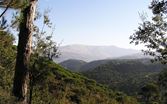 الطقس المتوقع في لبنان