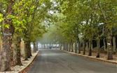 الطقس غدا غائم مع انخفاض في الحرارة